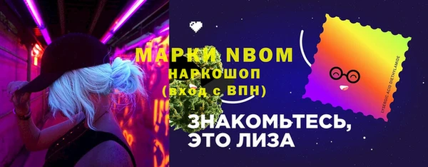 стаф Белокуриха