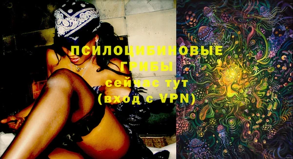 гашик Балахна